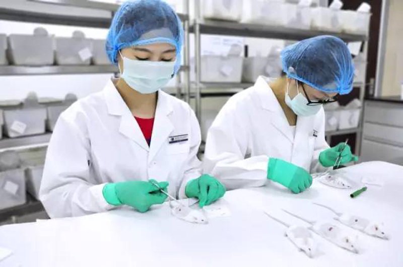 解读医疗技术研究所：科研与创新的摇篮